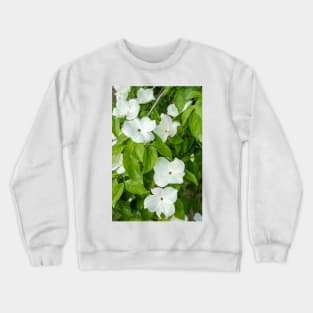 White Dogwood Flowers. Crewneck Sweatshirt